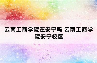云南工商学院在安宁吗 云南工商学院安宁校区